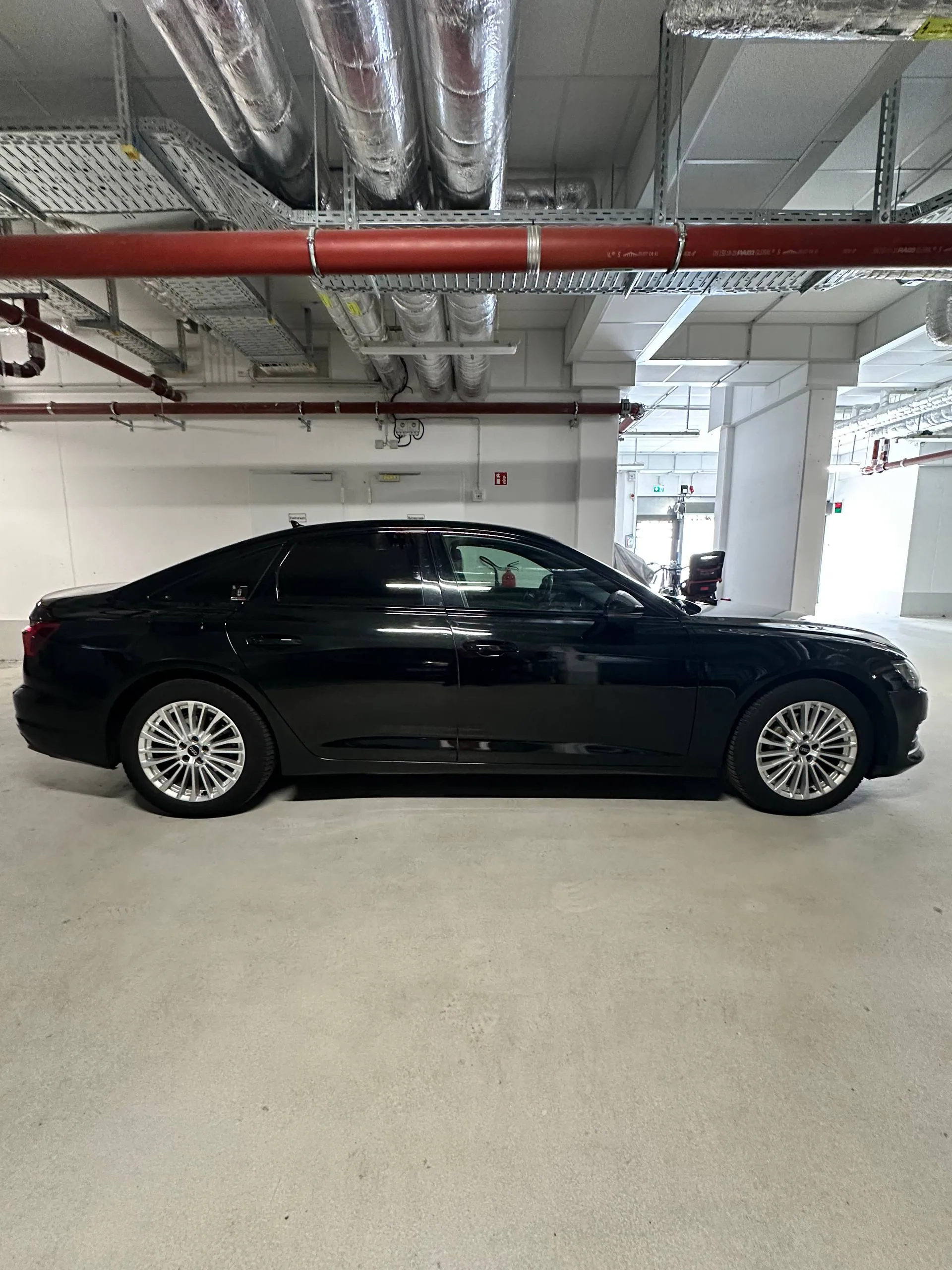 photo_1_2026-01-11_19-15-45