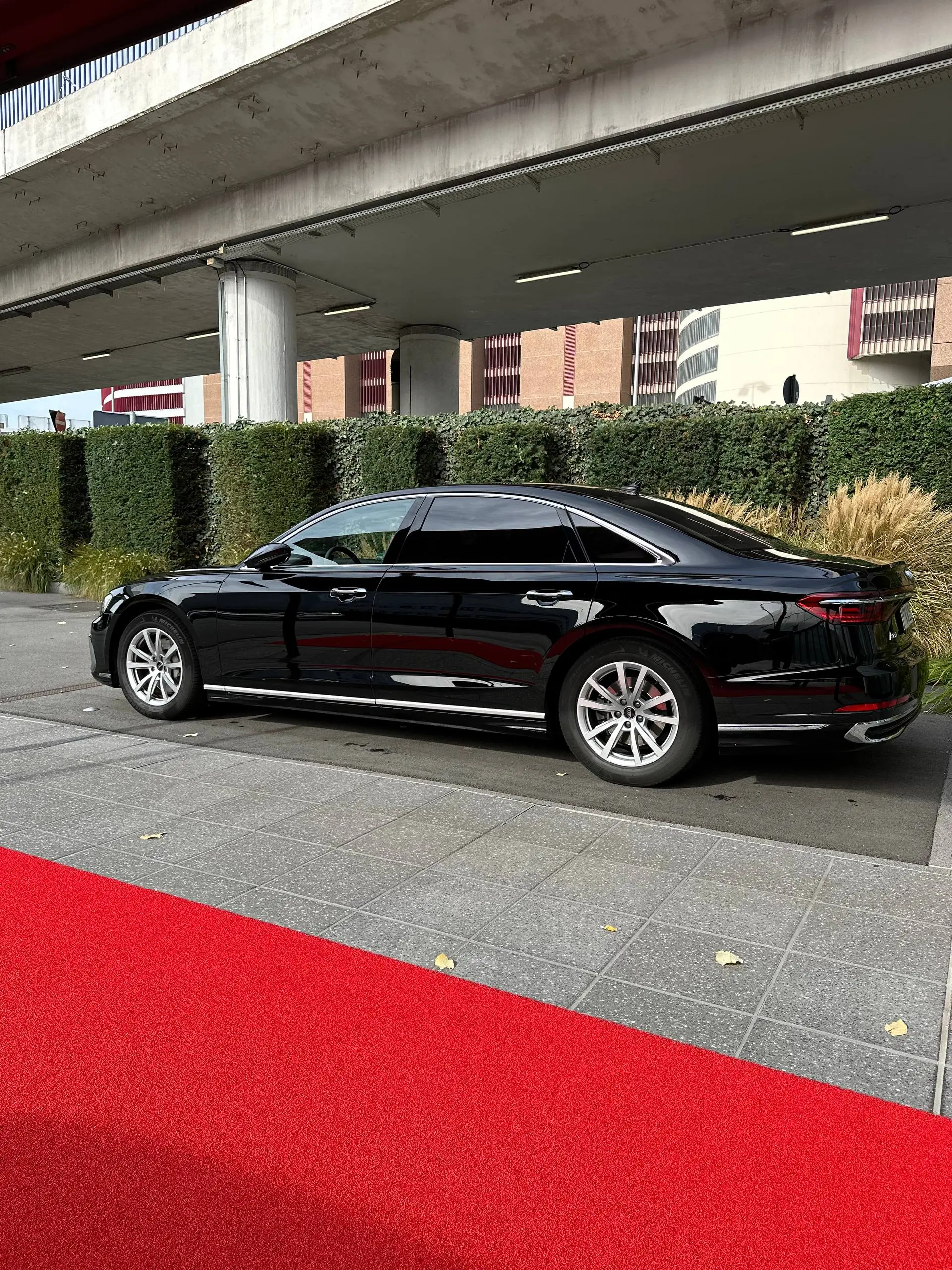 photo_4_2026-01-11_19-16-23 (1)